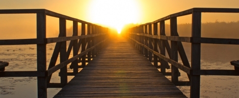 Employee optimism dampened by pandemic, but majority of UK workers remain positive