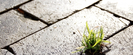 Firms that invest in sustainability are more resilient, research claims