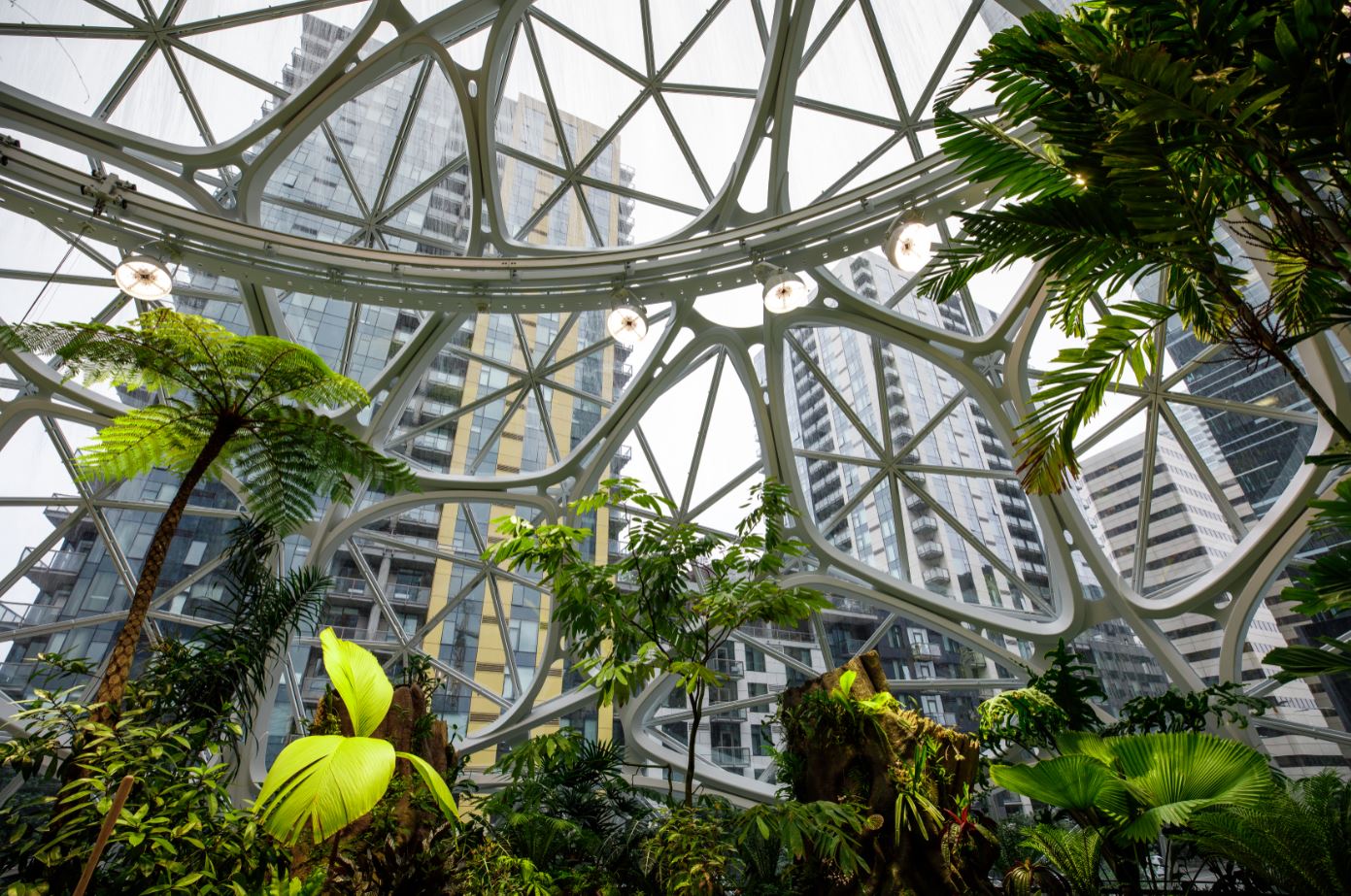 Biophilic design has a long history and an even bigger future