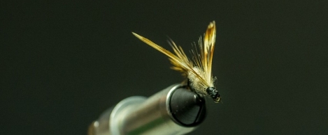 Data breaches caused by phishing is a problem for most organisations now