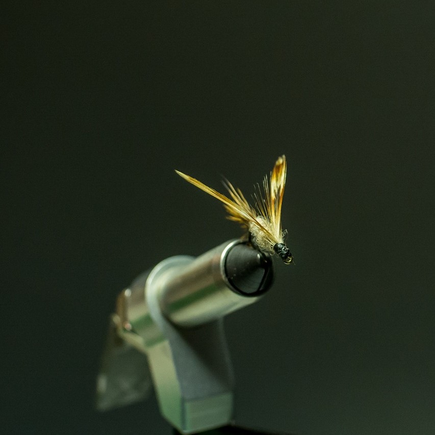 Data breaches caused by phishing is a problem for most organisations now