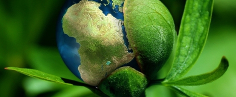 WorldGBC Net Zero Carbon Buildings Commitment expands scope to include embodied carbon