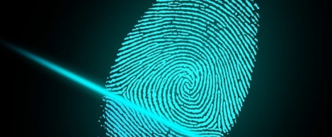 Majority of firms subject to successful network security attacks