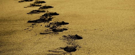 Metrics can help businesses define their impact on the environment