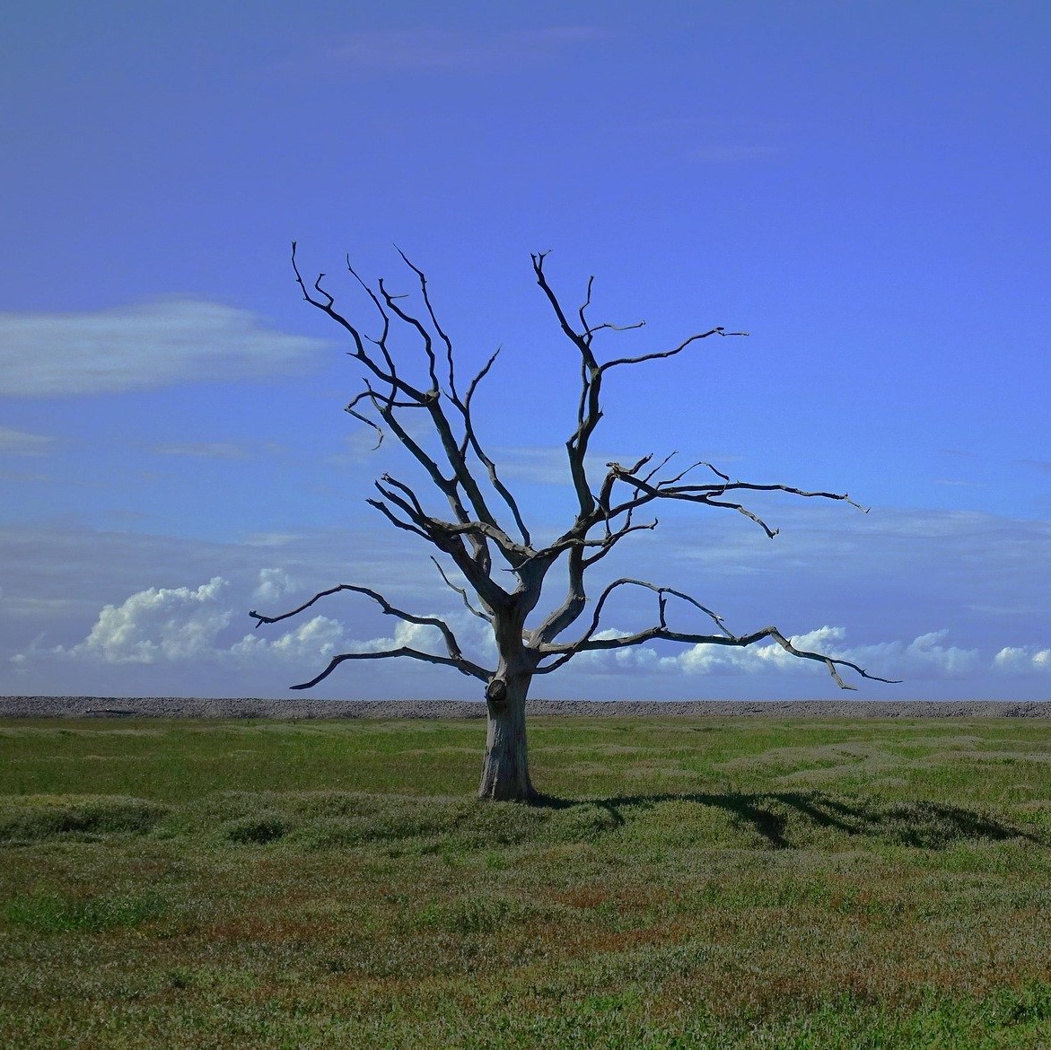 UK FM sector not doing enough about planetary and personal wellbeing