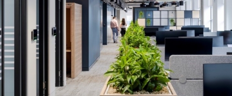 Kingsley Napley’s new office supplied by Rainbow