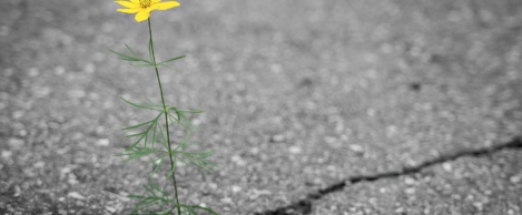 Manufacturers have sustainability strategies in place but progress remains slow and patchy