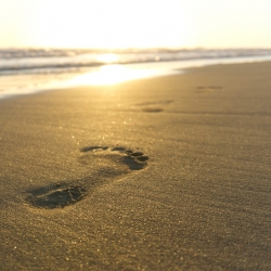 A footprint on a beach to illustrate how the office furniture sector and others need to take a more sophisticated approach to environmental issues