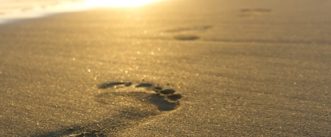The sustainable product lifecycle starts with a single step
