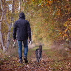 A man walking a dog to illustrate the four day week giving people more control