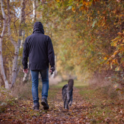 between January-December 2022, nearly a quarter (22 percent) of those forced out of the workplace because of long-term sickness said that they wanted a job