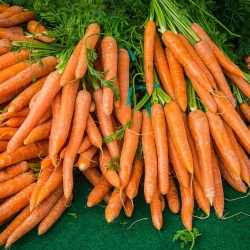 A bunch of carrots to illustrate how firms are using hybrid working and other benefits to attract talent