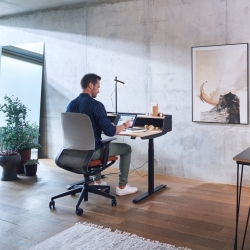 Sedus ergonomic working from home