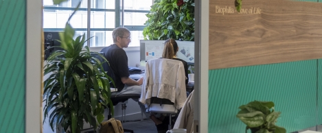 Biophilic office design has a clear business case, report claims
