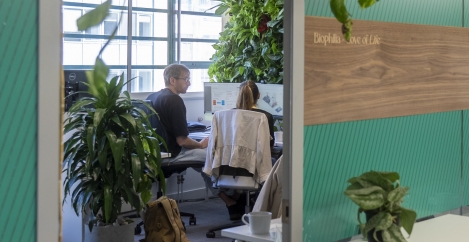Biophilic office design has a clear business case, report claims