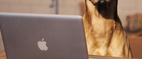 Remote workers have a few favourite excuses for not doing any work