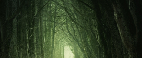 Many business leaders inadvertently create a culture of fear at work
