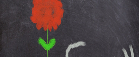 It should be easier for organisations to say the hardest word, without admitting liability