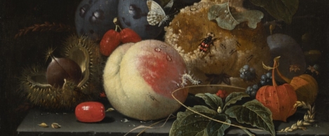 Brain rot is the word of the year and we only have ourselves to blame