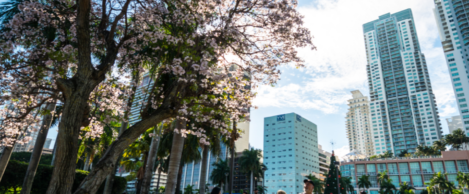 Global real estate markets grow (very cautiously) optimistic