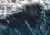 Not waving but drowning. People feel optimistic about the use of AI in the workplace 