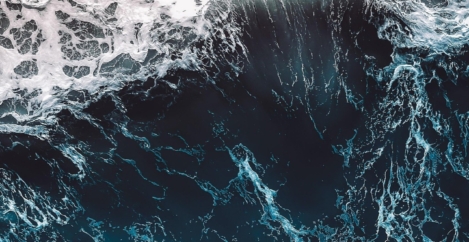 Not waving but drowning. People feel optimistic about the use of AI in the workplace … and swamped by it