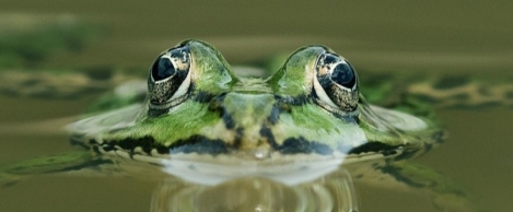 Leadership teams are struggling to cope with the pace of change