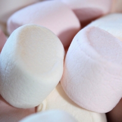 Employees place far greater importance on being respected, fairly compensated and other job rewards now than on their future career prospects