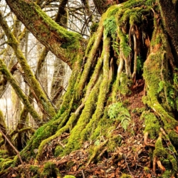 Workers are placing greater emphasis on job security, fair pay and employer support for adaptability, according to new global research from the Adecco Group