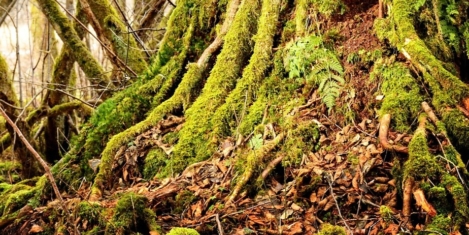 People want their jobs to provide them with security and steady pay