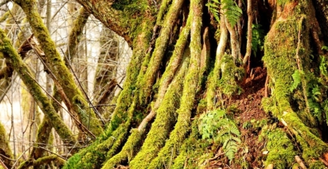 People want their jobs to provide them with security and steady pay