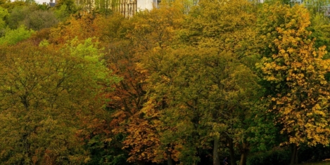 Government expands regional civil service hubs through Places for Growth programme