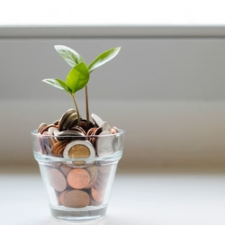 strong investments often reveal themselves through simple, consistent signals that anyone can learn.  You do not need insider knowledge or complex formulas to spot quality opportunities early. What you need is a clear mindset and the ability to recognize patterns that repeat over time.  Let’s learn a few ways you can identify a good investment from a distance.