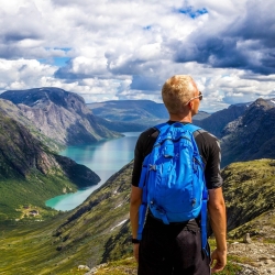 The results of a a new survey suggest that employee motivation does not collapse in uncertain conditions but instead changes shape