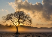 Resilience: the expanding global mandate for facility management