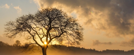 Resilience: the expanding global mandate for facility management