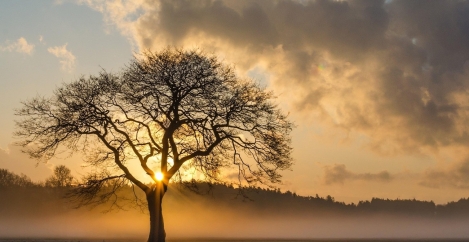 Resilience: the expanding global mandate for facility management